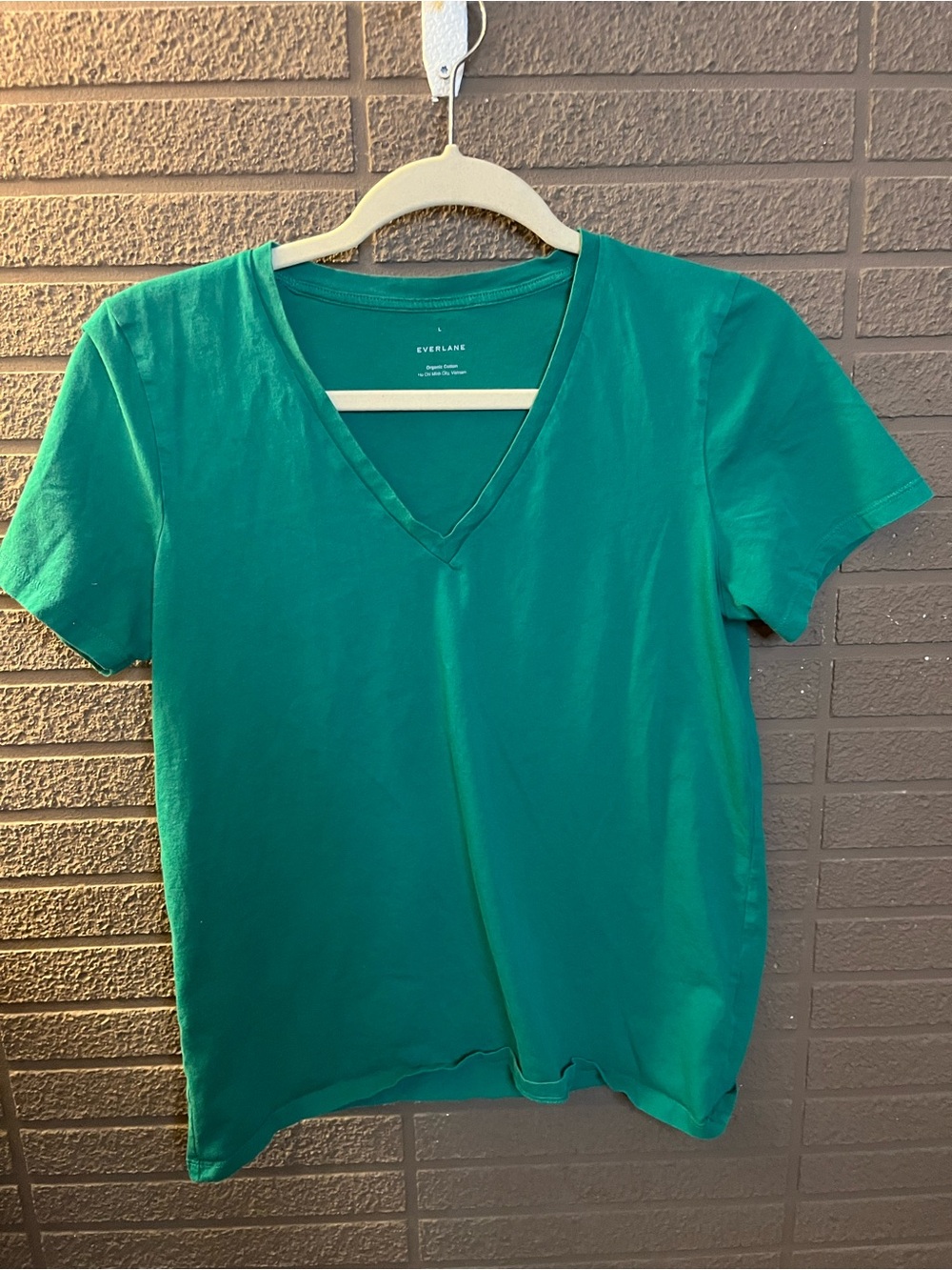 Everlane Women’s V-Neck Tee in Teal Green